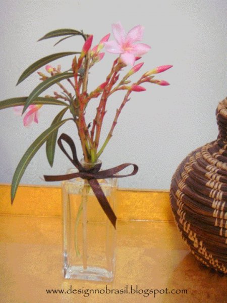 33826_175695859125582_89549_n