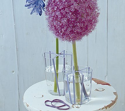 402404_370691539626012_167829270_n