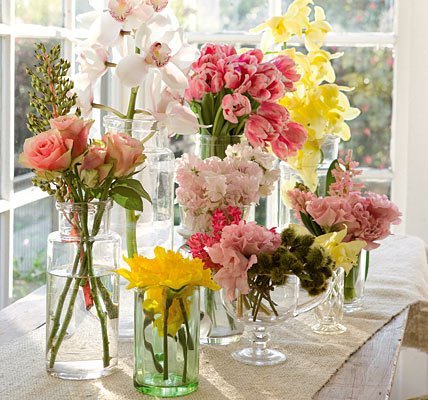 576154_412929748735524_1026014601_n